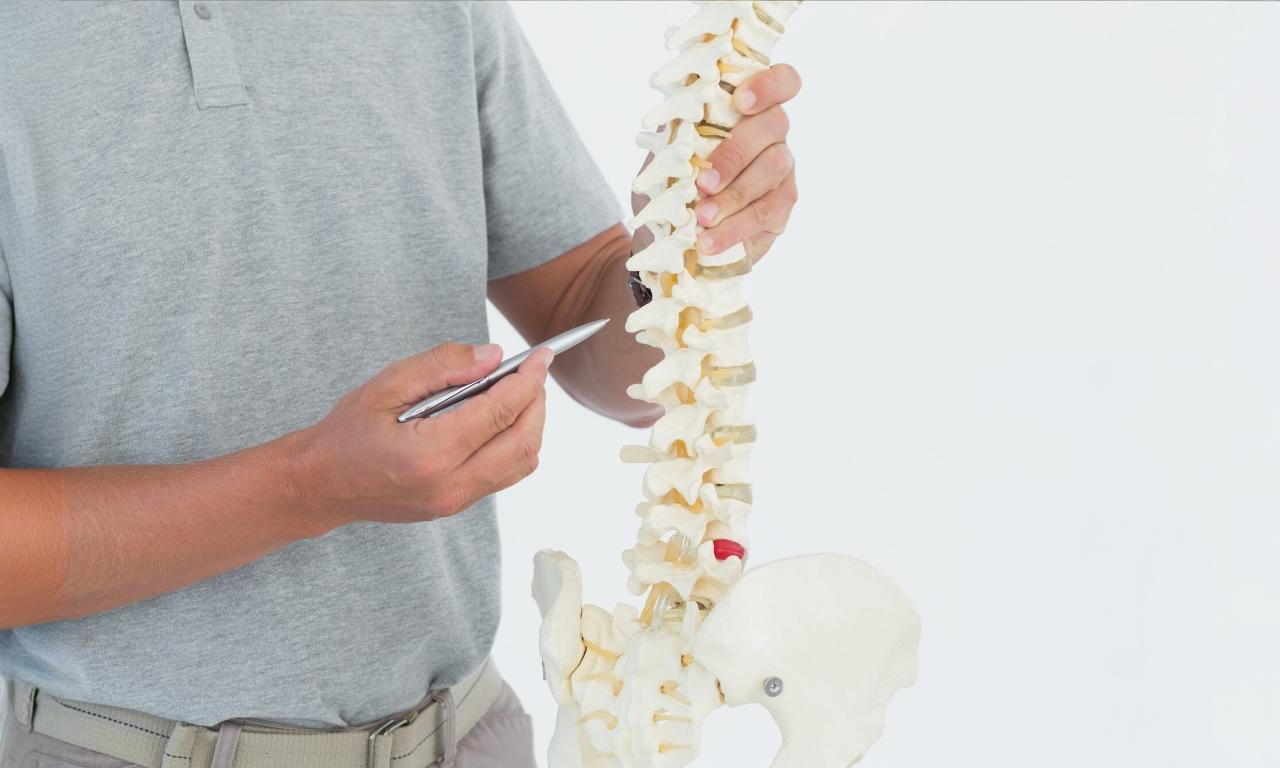 spinal-decompression-blog-park-physiotherapy-oshawa-on